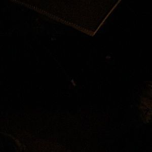 Meet your Posher, Kev